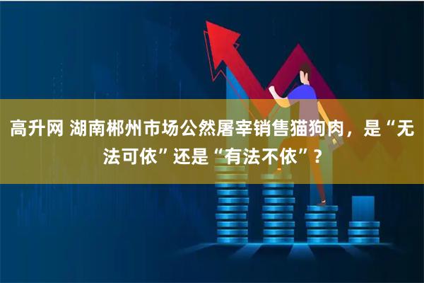 高升网 湖南郴州市场公然屠宰销售猫狗肉，是“无法可依”还是“有法不依”？