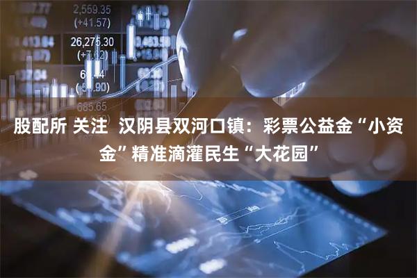 股配所 关注  汉阴县双河口镇：彩票公益金“小资金”精准滴灌民生“大花园”