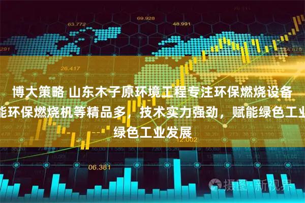 博大策略 山东木子原环境工程专注环保燃烧设备，节能环保燃烧机等精品多，技术实力强劲，赋能绿色工业发展